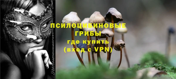 тгк Бородино
