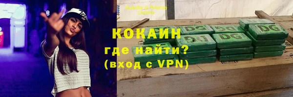 тгк Бородино