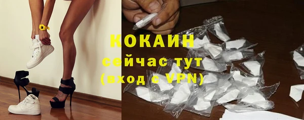 тгк Бородино