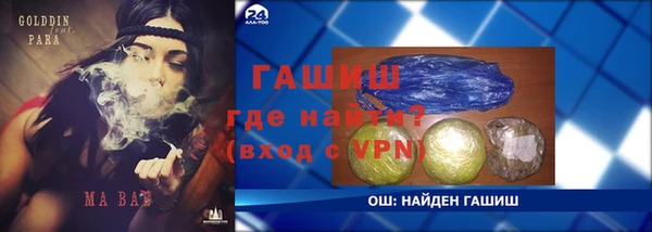 тгк Бородино