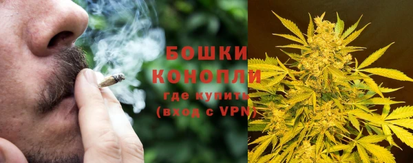 тгк Бородино