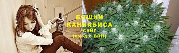 тгк Бородино