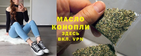 тгк Бородино