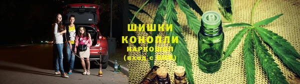 тгк Бородино
