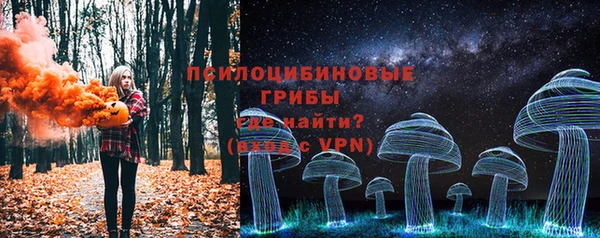 тгк Бородино