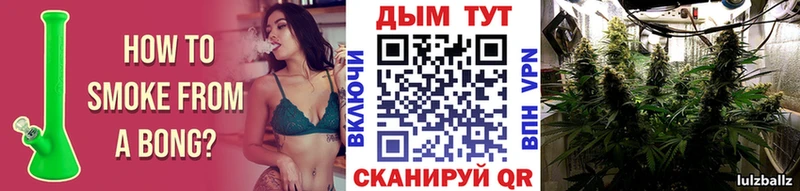 Бошки марихуана ГИДРОПОН  Нытва 